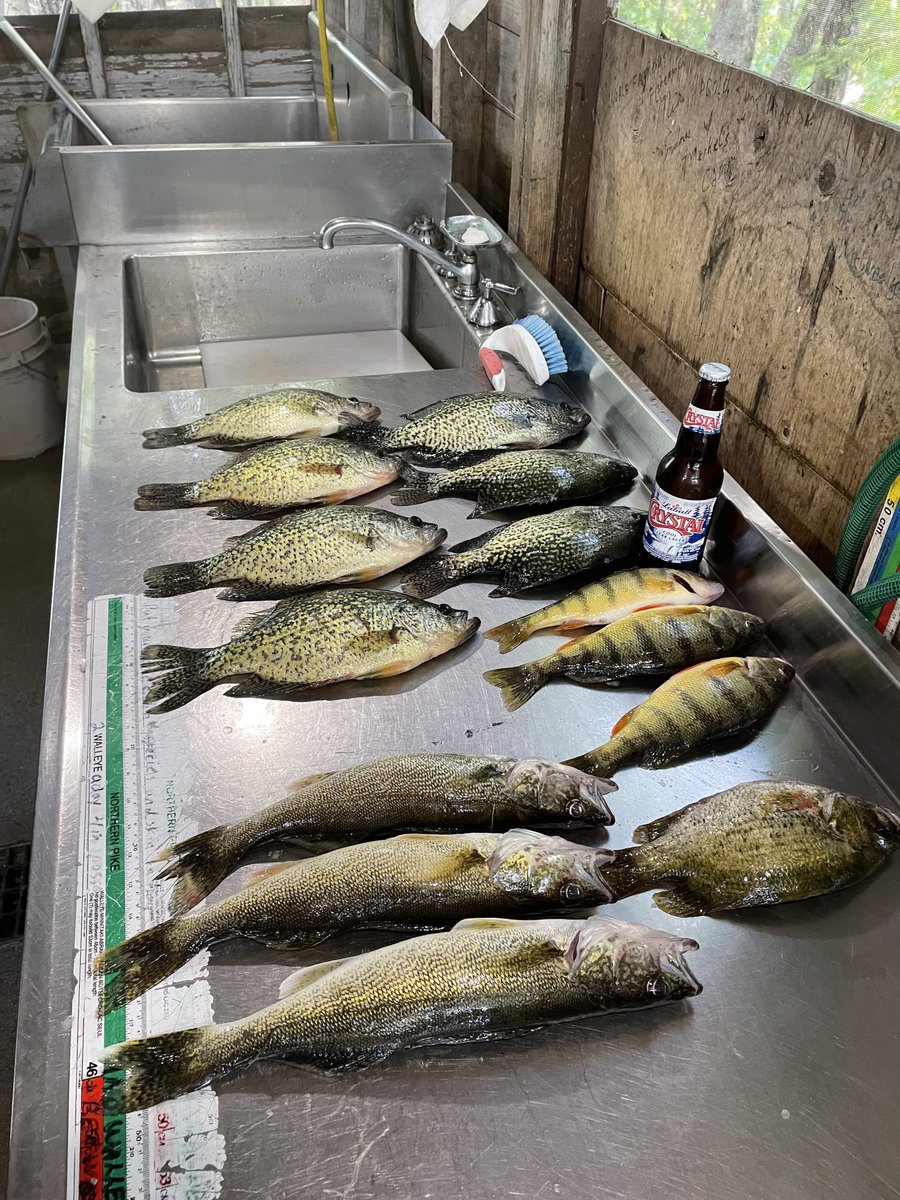 MerkelsCamp's tweet photo. #fish #fry and cold #Labbatts Crystal #beer go hand and mouth @LabbattBreweries @lance_hughey @mgaryhanson @kansascrappie @CrappieFishnJou @OUTDChannel @FL_Sportsman https://t.co/E54ZNDB37F