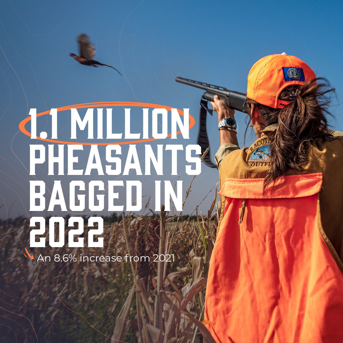 Another great year for South Dakota pheasant hunting!

Last year, over 1.1 million pheasants were bagged — an 8.6% increase from 2021’s season.

South Dakota has the best pheasant hunting in the world.
