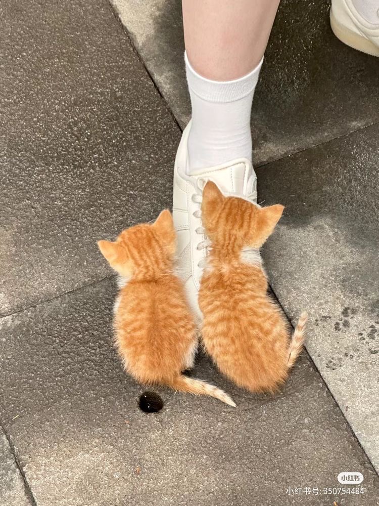 tiny