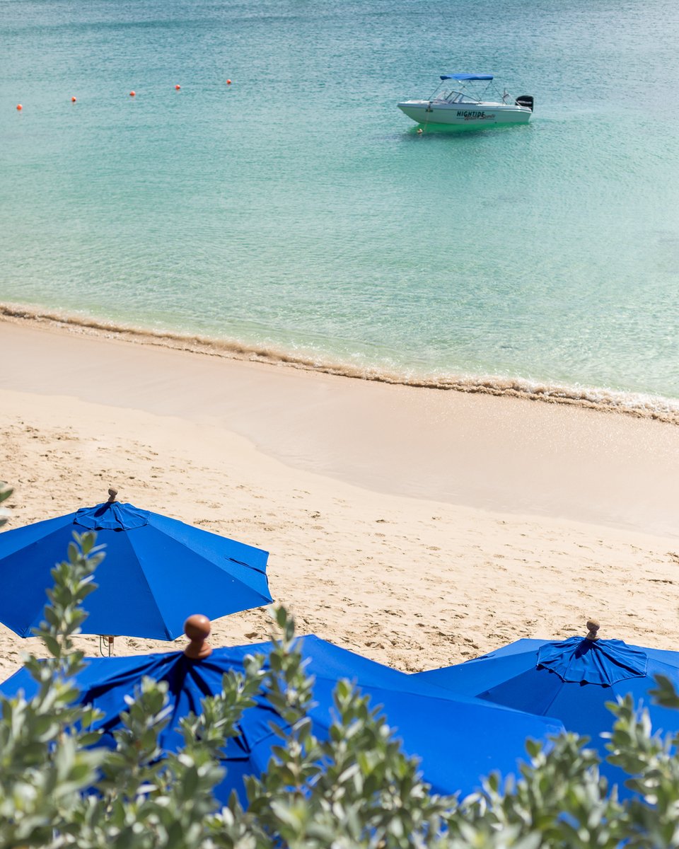 The Sandpiper tweet media