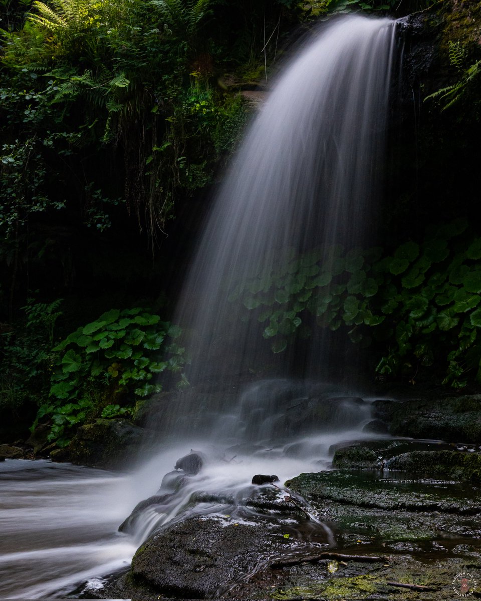 #wildscotland 
#visitscotland 
#visitfalkirk 
#falkirk 
#westquarterglen 
#wildlifephotography 
#landscapephotography 
#travelphotography
#naturephotography
#waterphotography
#yourphoto 
#photooftheday
#picoftheday
#photography 
#nature
#landscape
#naturelover
#waterfall