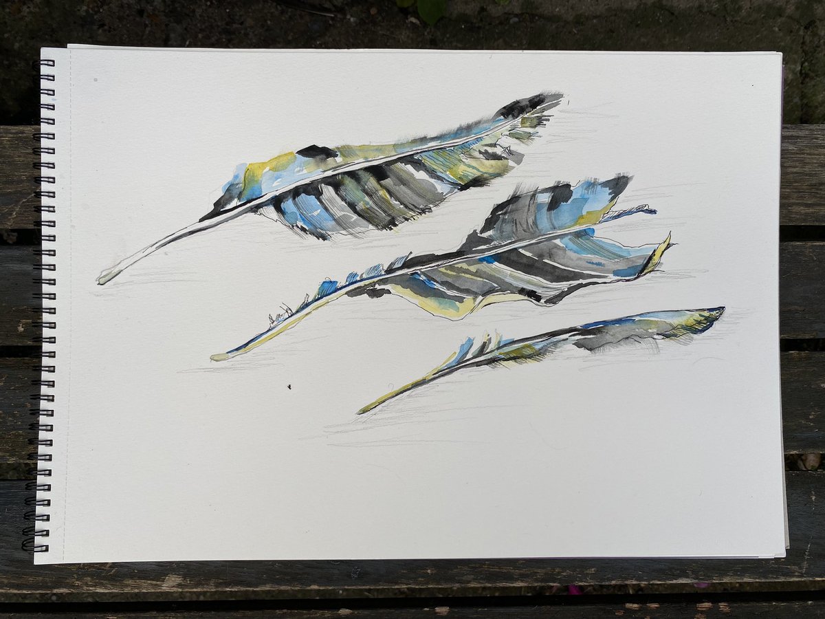 I took an hour out from a very busy day to attend the #sculptorsdrawingspace I’d no time to plan the session, so I reworked a drawing that I started some time ago, the feathers long gone. My happy place