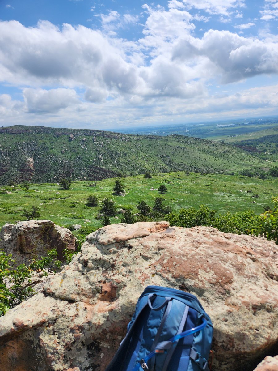 Rikki Heyman tweet media