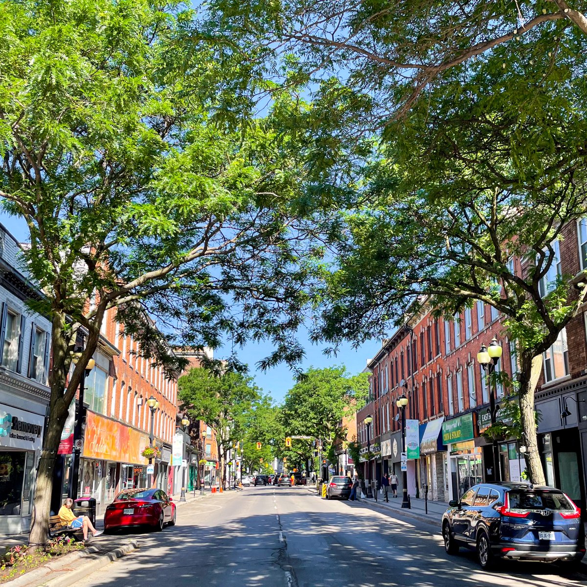 HamIntlVillage's tweet image. Open Streets Hamilton is this Sunday! From 10 am to 2pm King St. East (from John St. to Gage Ave.) will be closed to vehicle traffic and open for residents to walk, cycle, and stroll down the street to see some of the amazing businesses in the BIA!