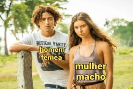 AkPinna47's tweet photo. Minha roda de amigos https://t.co/AYMjSCmdwZ