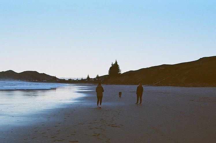 "pısırık insanlara ödün vermeye pek yanaşmayan biriyim. bir kez bu yol izlendi mi soluğun nerede alınacağı kestirilemez. ilkin sözcüklerle verilir ödünler, derken sıra yavaş yavaş işin özüne gelir."

freud - kitle psikolojisi