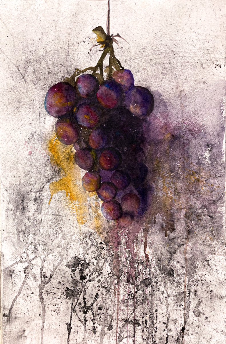 r_juanma's tweet photo. UVAS. Acuarela sobre fondo de grafito.
———
#acuarela #acuarelasobrepapel #acuarelas #acuarelas🎨 #arte #acuarelle #acuarellepainting #acuarelleart #gamadecolores #art #artwork #arte #uvas #uvas🍇 #uvås #bodegón #bodegones #bodegonesacuarela #bodegonuvas #bodegonacuarela https://t.co/iwezjCHTrJ