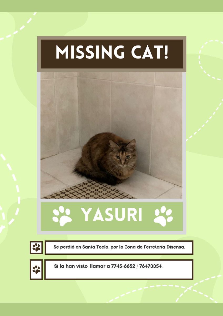 marcelachavezhb's tweet photo. Se ha perdido mi gatita desde el jueves pasado.
Nunca había estado tanto tiempo afuera de casa, si me pueden ayudar compartiendo porfa 🥺 https://t.co/rRyTM3bbxv