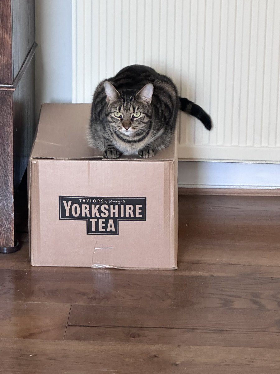 @YorkshireTea @joseph44214 Yorkshire Tea Fur ..ever 😜