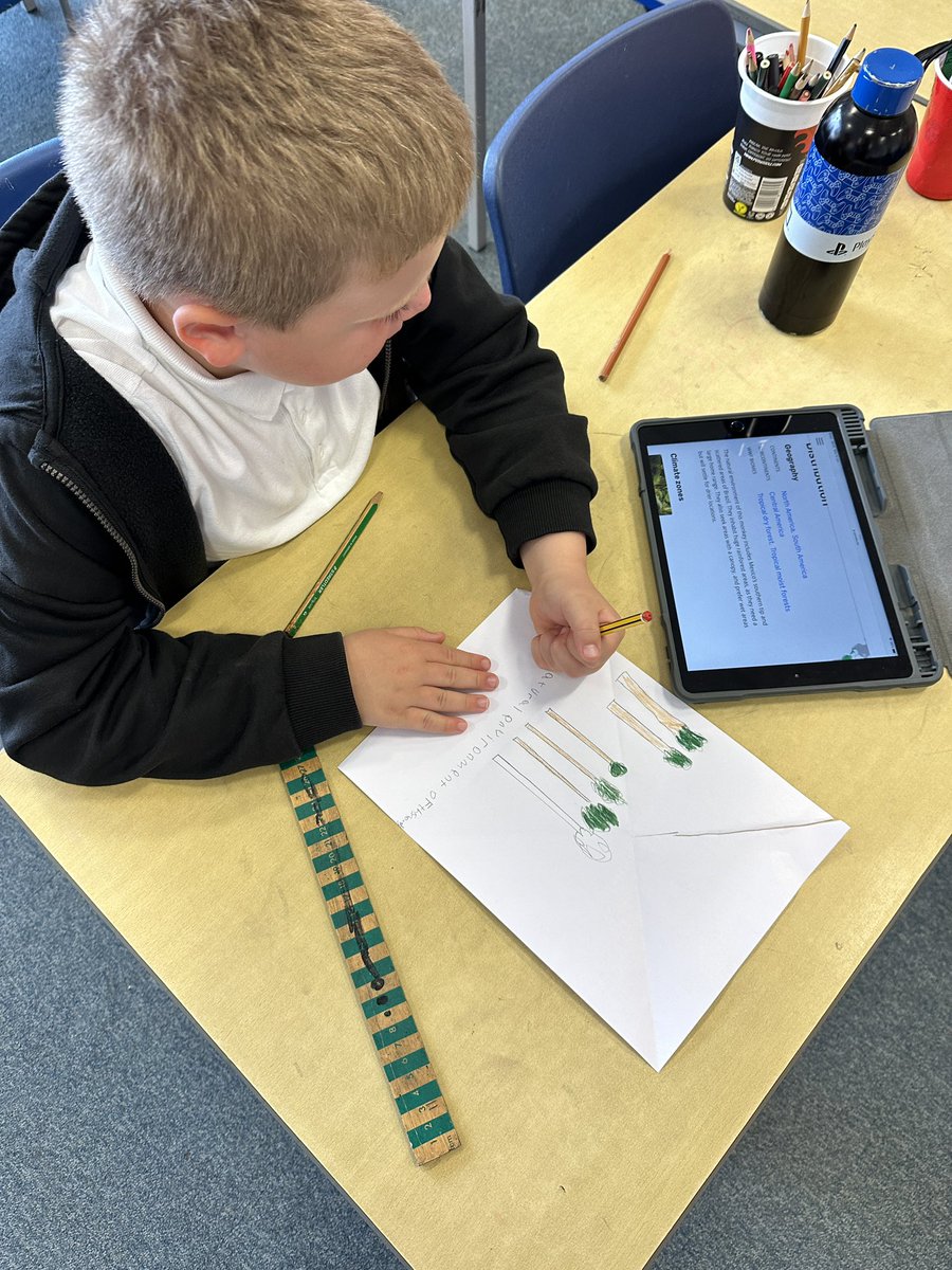 MissHaymanNMPS's tweet photo. We’ve been working on our endangered animal trioramas today, focusing on the animal’s habitat! @NiddrieMillPS https://t.co/YTn4sJUR9N