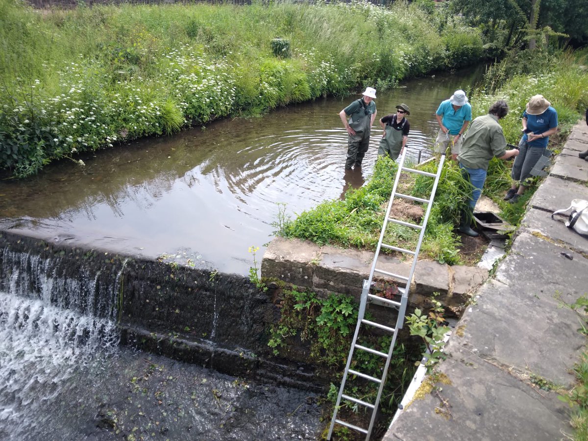#30DaysWild day 12. Today I visited an #EelPass in #Blakeney #Gloucestershire  where the @EnvAgencySW & @gloswildlife were meeting with #CitizenScientist monitoring #Volunteers & checking for elvers. 🐟 #RiverSevern #Eel @EelGroup @30DaysWild @Lozza_05556