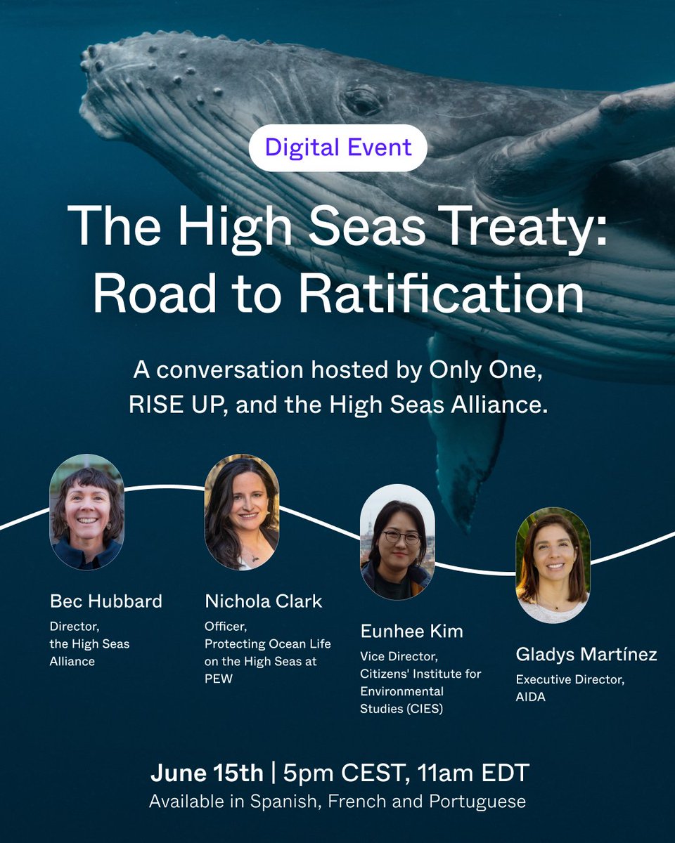 ⚠️ NEW LINK! Don't miss 'The #HighSeasTreaty: Road to Ratification' webinar hosted by @onlyone, @RiseUp4theOcean and @HighSeasAllianc. We'll discuss what we’ve achieved so far and the next steps to get an #OceanTreatyNow. 📆 15th June 4PM BST/11 AM EST bit.ly/43iJ2RR