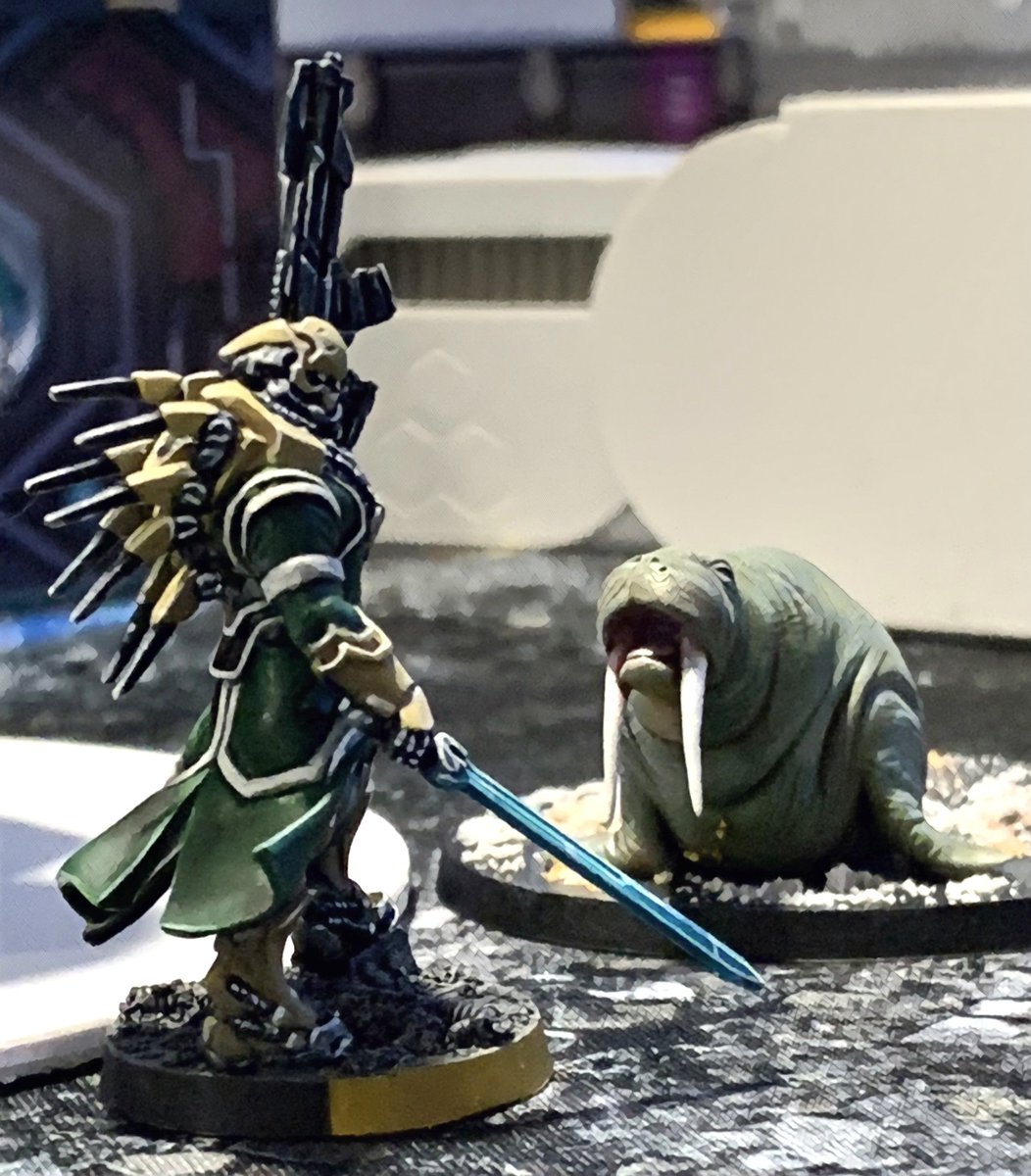 Is this crisis going to evolve into an open war or does fate have different plans for New Hypatia?
#OperationHungryWalrus 

Follow the link below to join the battle:
sites.google.com/view/operation…

#tabletopgames
#TTS
#SaveNewHypatia
#InfinityTheUniverse
#InfinityN4