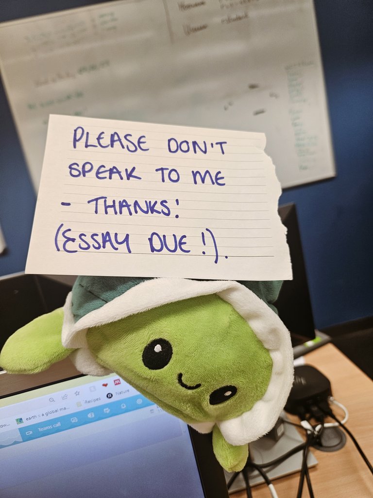 Today was a whole mood.  #phdlife #MotivationalMonday #realtalkfromtheemotionalsupportturtle