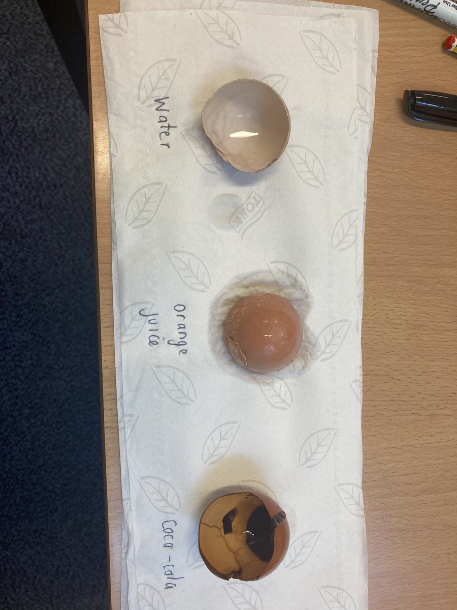 latimerprimary's tweet photo. #ClassCB were so shocked by the results of our egg shell experiment! We placed a shell in water, orange juice and coca-cola to mimic the impact these fluids have on teeth. We then reflected on our initial predictions.
#LatimerScience https://t.co/ym93QsqvCd