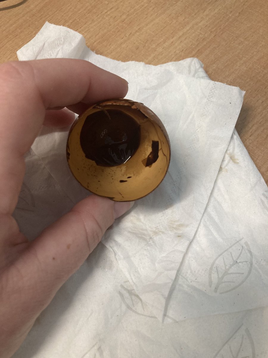 latimerprimary's tweet photo. #ClassCB were so shocked by the results of our egg shell experiment! We placed a shell in water, orange juice and coca-cola to mimic the impact these fluids have on teeth. We then reflected on our initial predictions.
#LatimerScience https://t.co/ym93QsqvCd