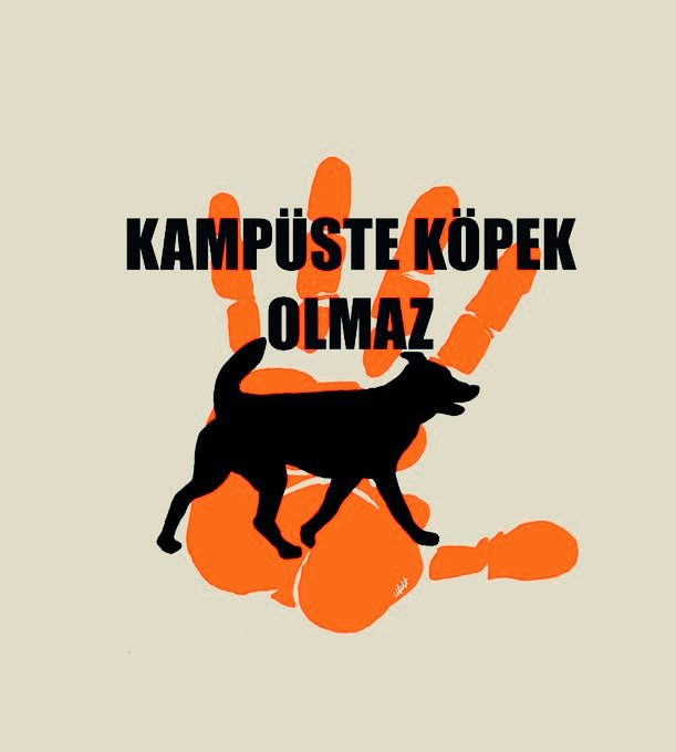 Üniversite kampüsünü basibos köpeklere teslim edemezsiniz! Kampüste basibos köpek olmaz! @NuhZaferCanturk #KouKopekDehseti