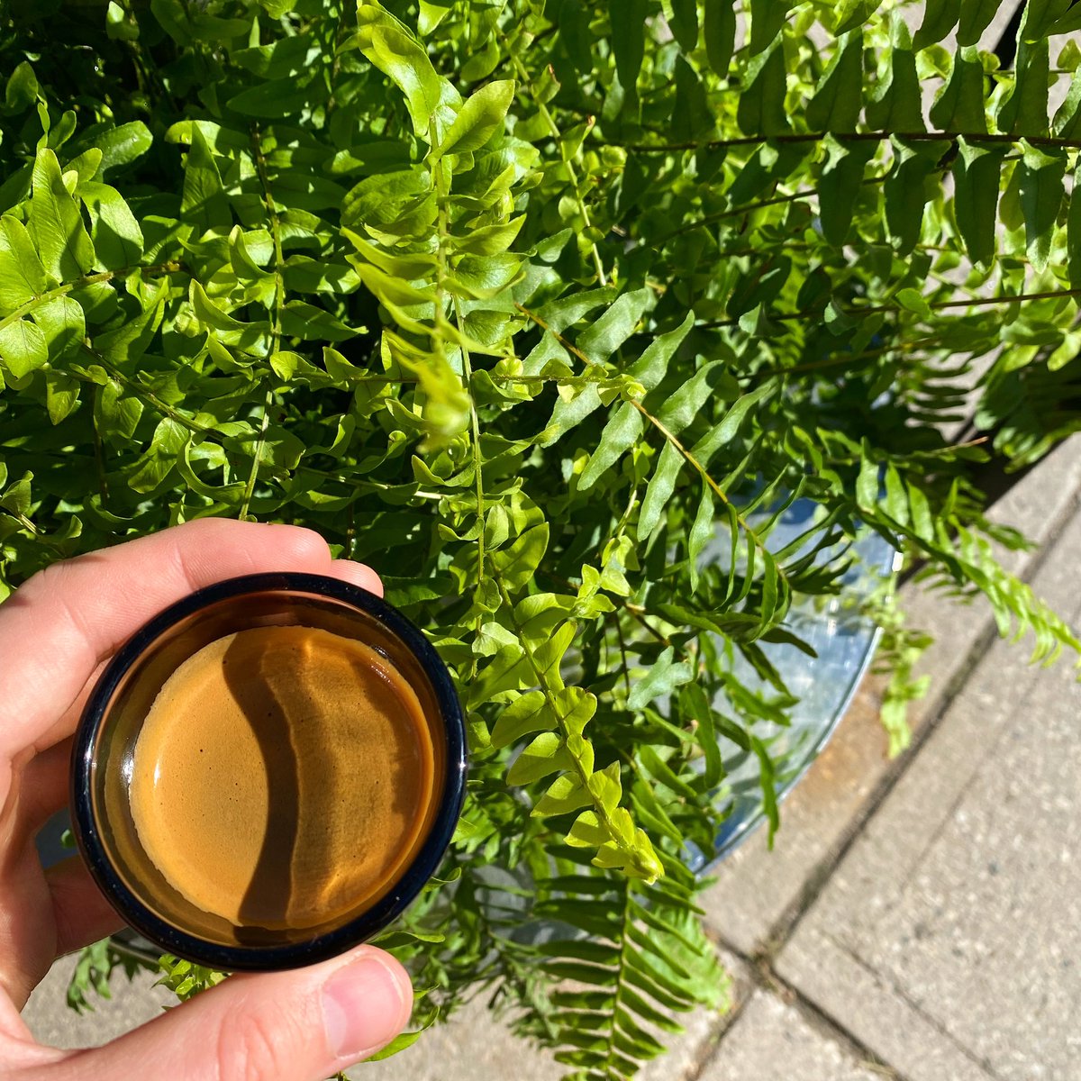 A straight shot of espresso on the patio is a solid way to start the day 😋 Just waiting for that summer sun to come back ☀️ 

#planetbean #coffee #organic #fairtrade #espresso #patio #summer