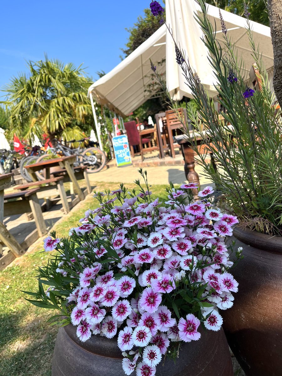 This weather! 🔥 and it's looking good for the rest of the week. Don't forget Father's Day this Sunday. Book one of our last few tables x

#Brighonfood #southdownsway #Fatherssday #Dadsday #Sundaylunch #Loveyourlocal #Brightonpub #sussexevents #brightonevents #sussexlife