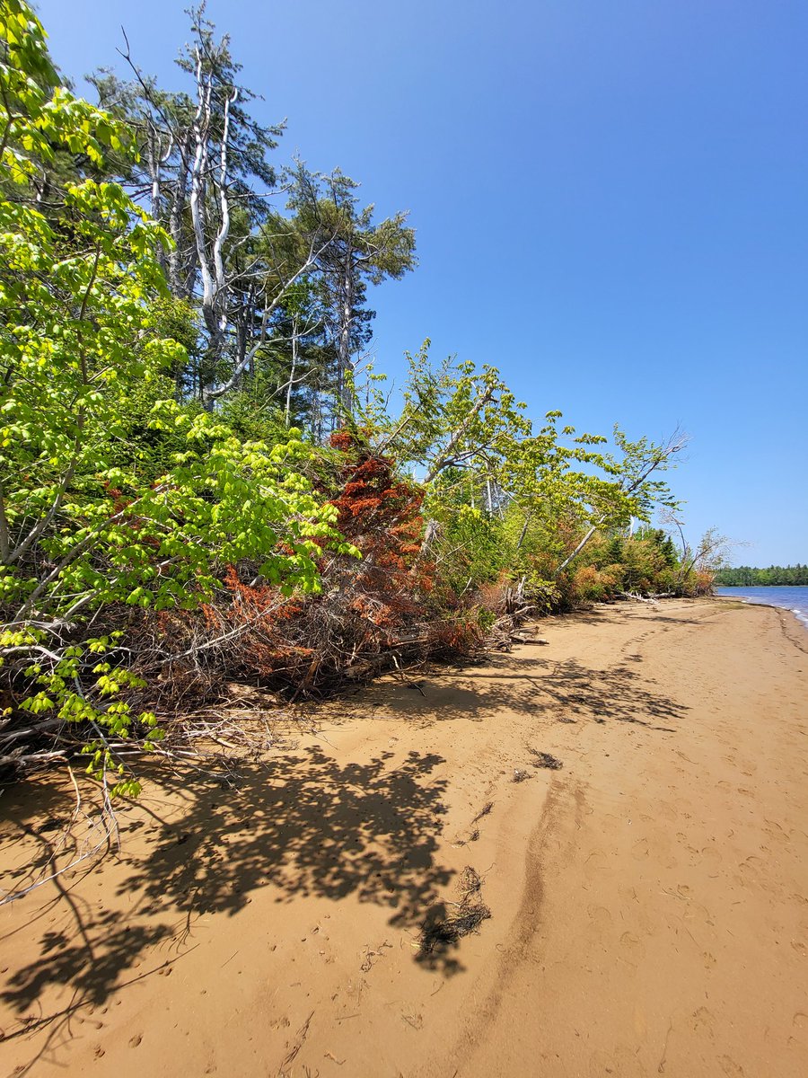 Kouchibouguac National Park!