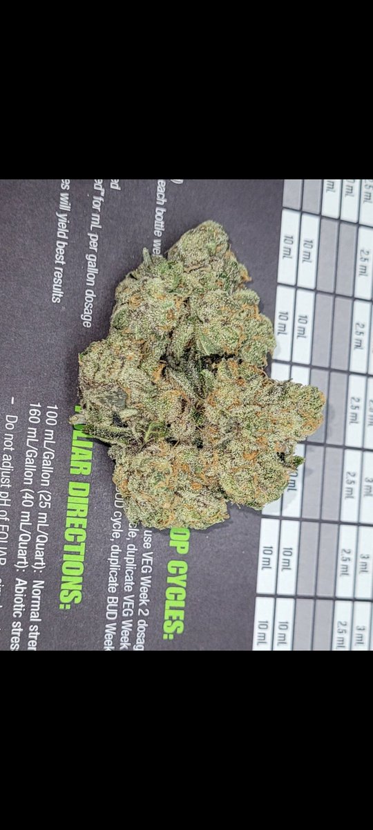 KBeesTrees's tweet photo. White Tahoe Cookies https://t.co/rcZKkmrAxE
