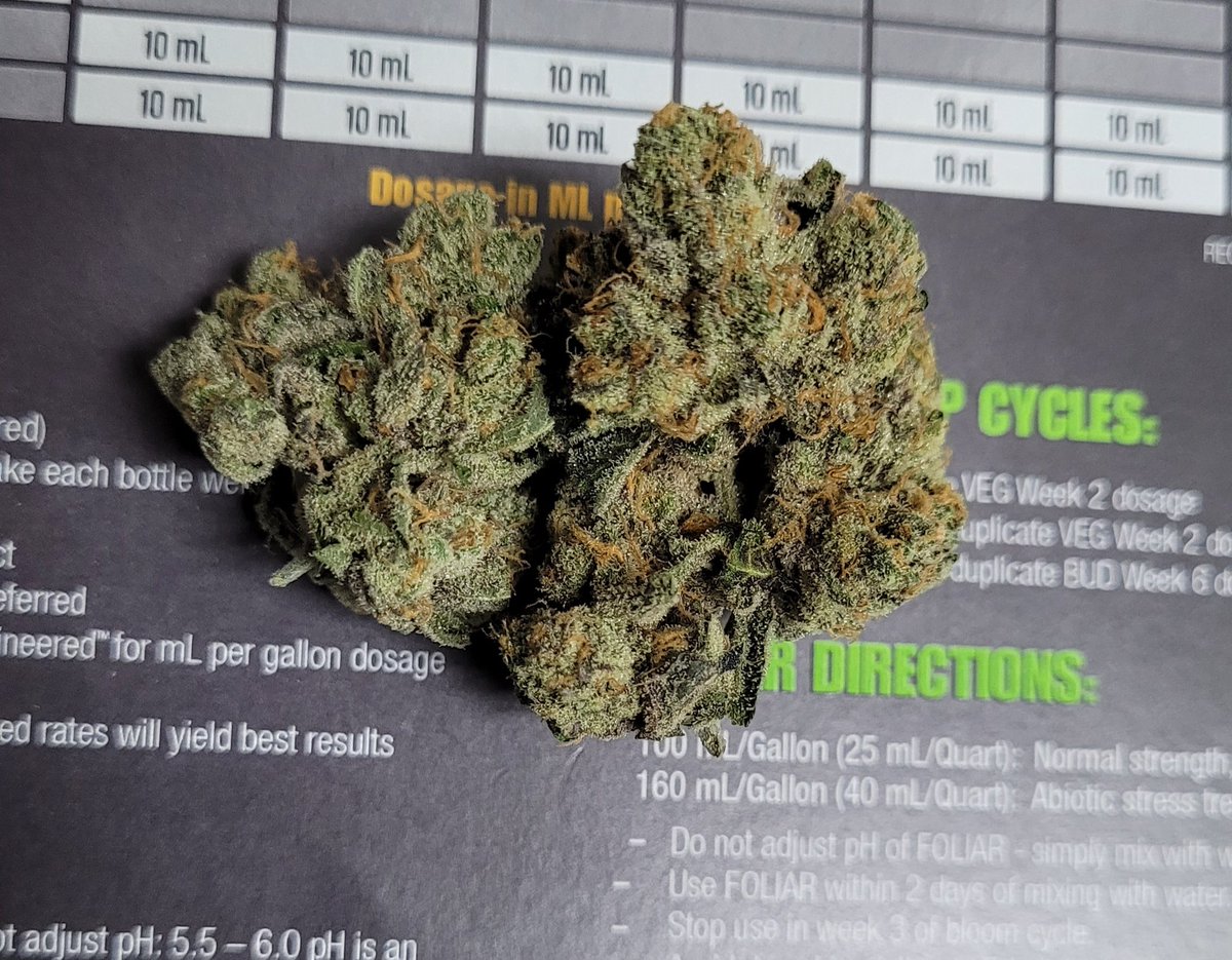 KBeesTrees's tweet photo. White Tahoe Cookies https://t.co/rcZKkmrAxE