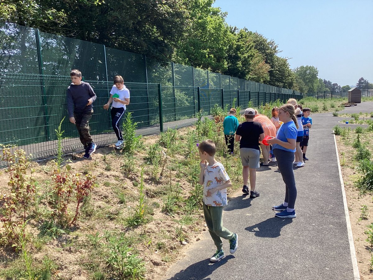 BridgeEaston's tweet photo. Last week Rowan Class went on a hunt for minibeasts. The hunt involved the children walking through the school meadow looking for insects in their natural habitat. They used their iPad’s to record all the minibeasts they found! https://t.co/sF6iprl4PX
