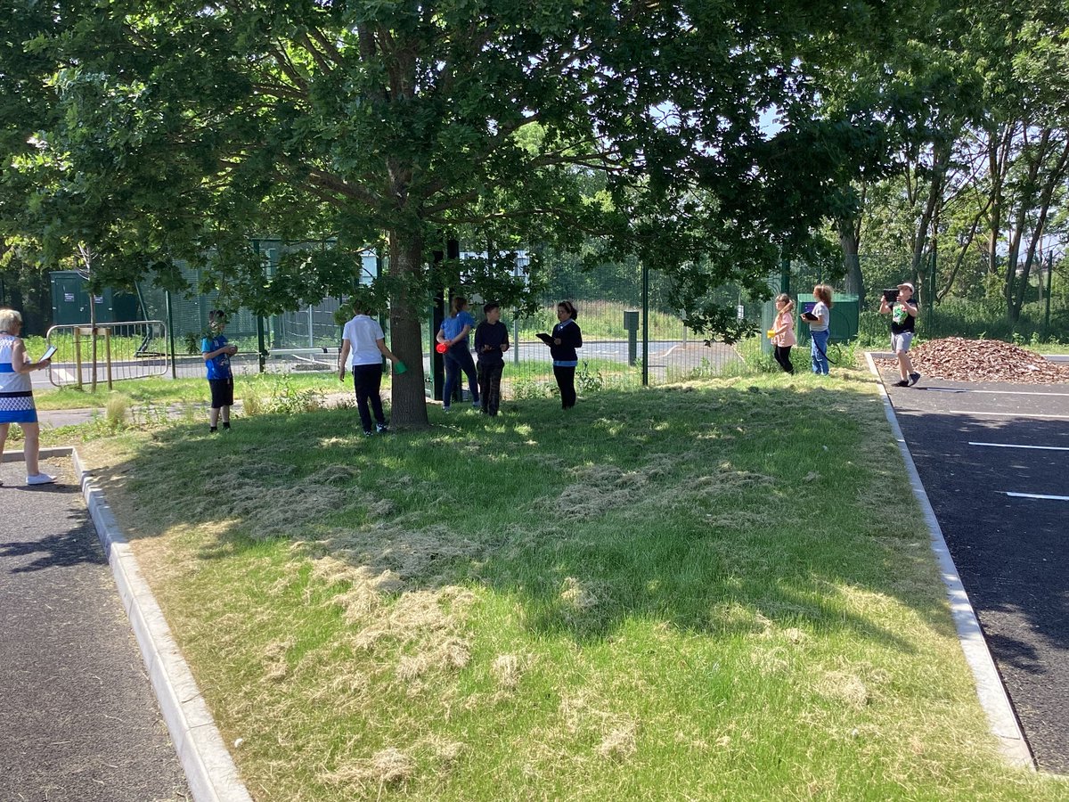 BridgeEaston's tweet photo. Last week Rowan Class went on a hunt for minibeasts. The hunt involved the children walking through the school meadow looking for insects in their natural habitat. They used their iPad’s to record all the minibeasts they found! https://t.co/sF6iprl4PX