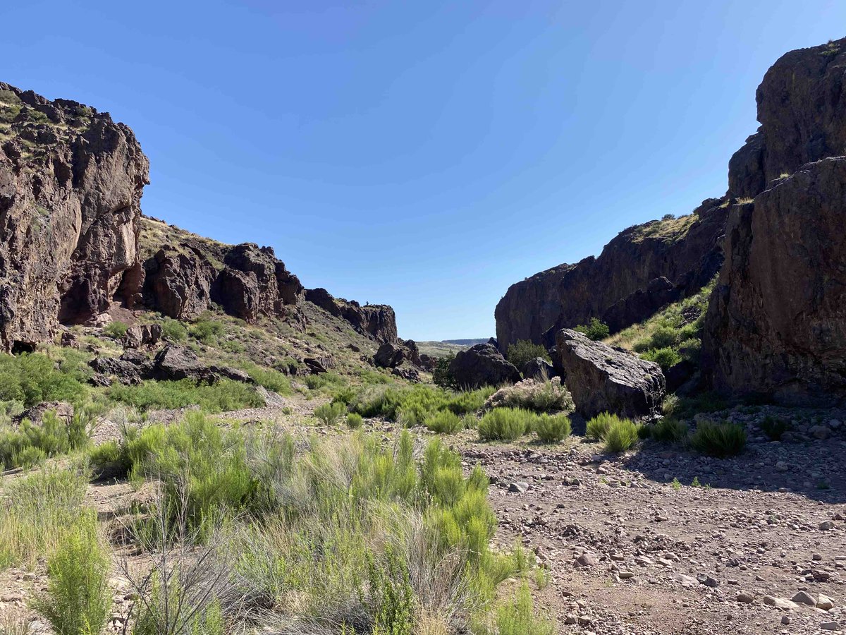 NMoutdoorrec's tweet photo. ORD had a great time last weekend at The Box last week!
The Celebrate and Elevate Box Canyon Recreation Area event included climbing, hiking, and biking.
https://t.co/yNFu6rC1Pt
#NM #NewMexico #OutdoorRec #NMOutdoorRec #climbing #hike #bike #camp #explorenm #LandofEnchantment https://t.co/qrlaapmCCs