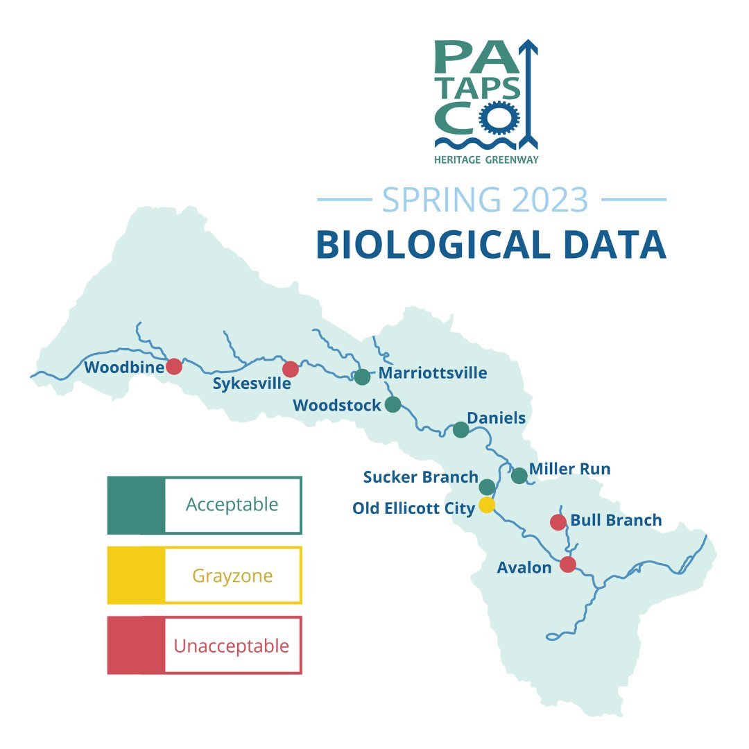 Check out this map of our Biological Data for Spring 2023, our third consecutive season of biological data collection.  

For historical data, we invite you to explore our 2022 Non-tidal Patapsco River Report Card at ow.ly/ZWIC50OM6tB