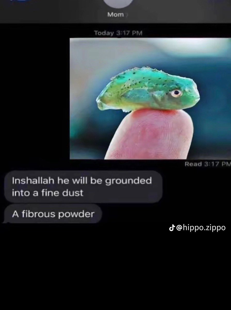 RobinCarnegie1's tweet photo. @NoContextHumans https://t.co/U52I09S2eP