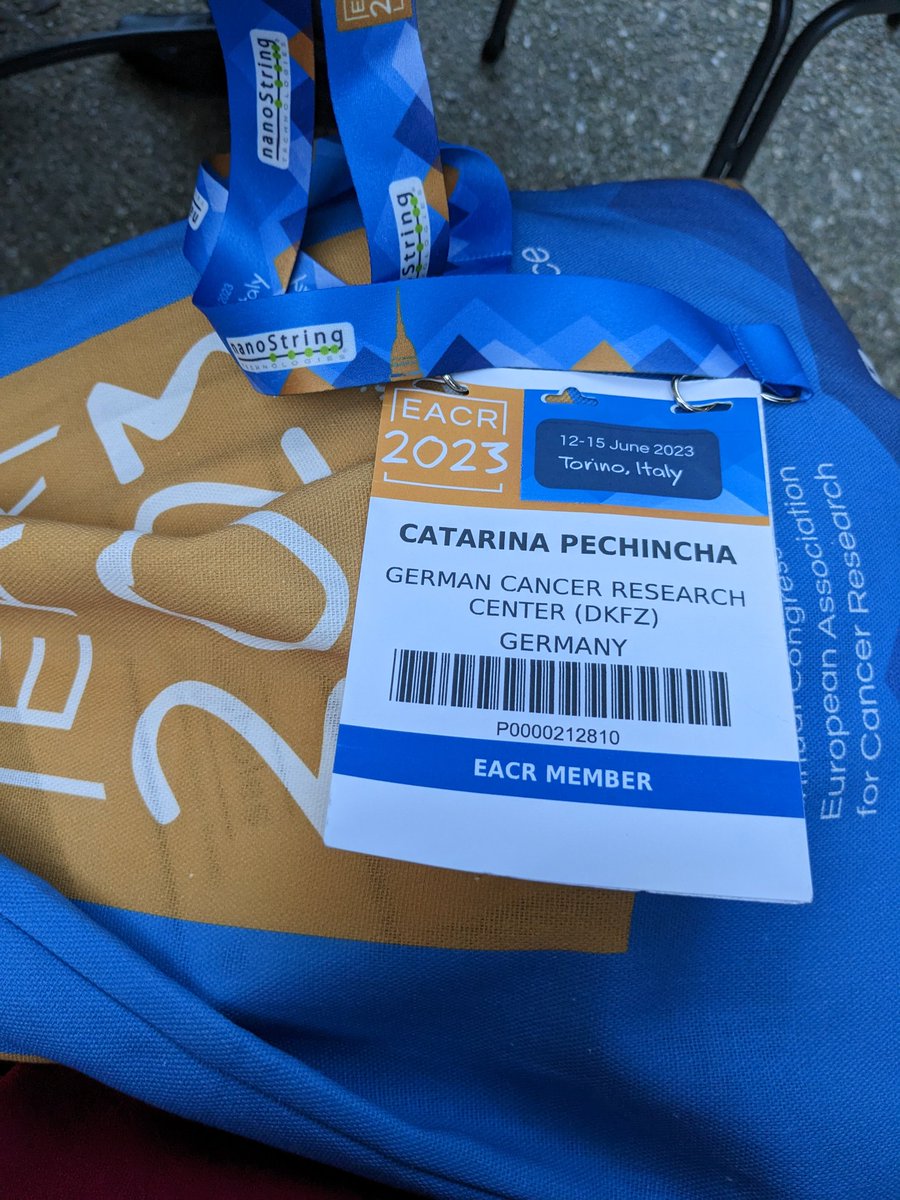 Catarina Pechincha tweet media
