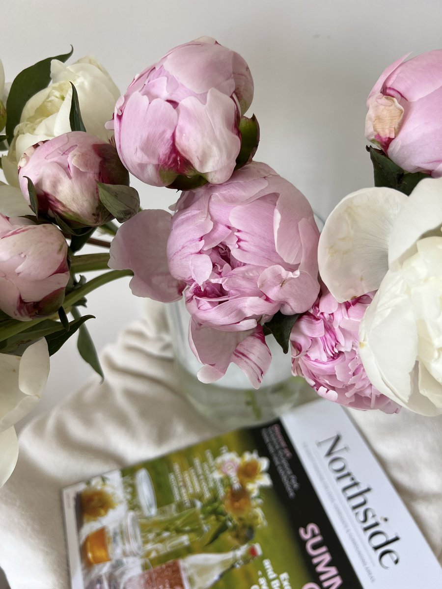 Peonies ✨