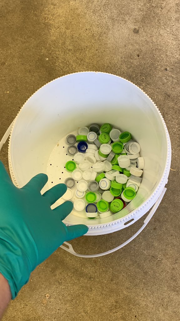 Cody Evans tweet media