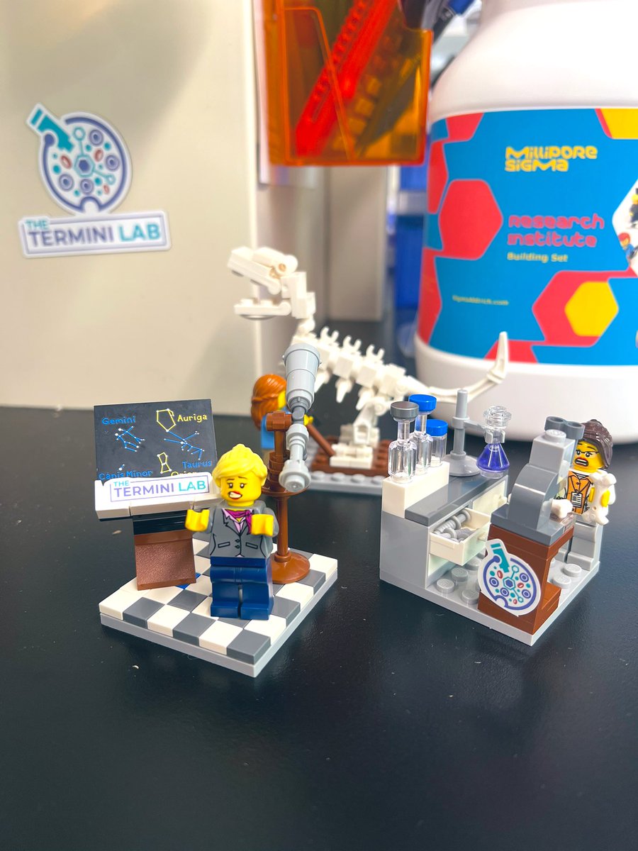 Termini Lab x @SigmaAldrich x @LEGO_Group collaboration in the lab today 🦴 🔬 🦖