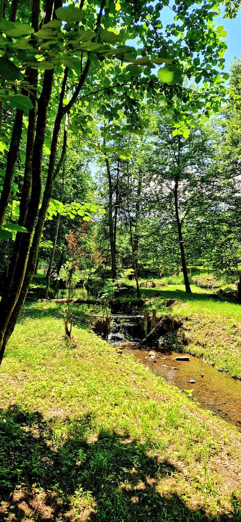 #fit2workin30min 👣 #lunchbreak <a href="/wissenspark/">wissenspark</a> #ursteinau