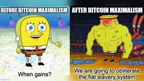 #Bitcoin maximalism changes you. 

It...
⇒ strengthens your sense of freedom.
⇒ lowers your time preference.
⇒ betters your understanding of the world.

Don't mess with #BTC Maxi's