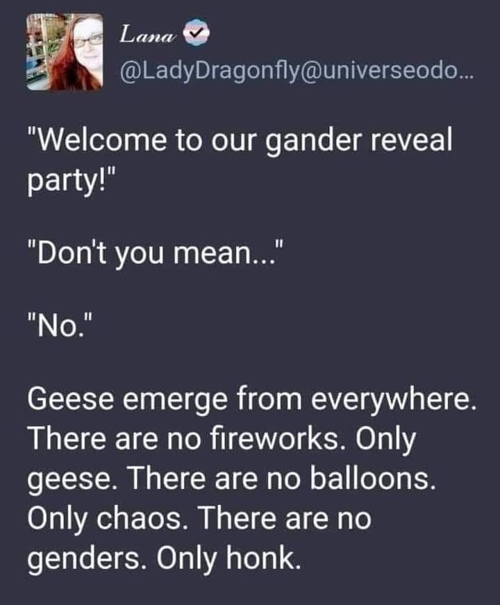 Amélie E. Koran tweet media