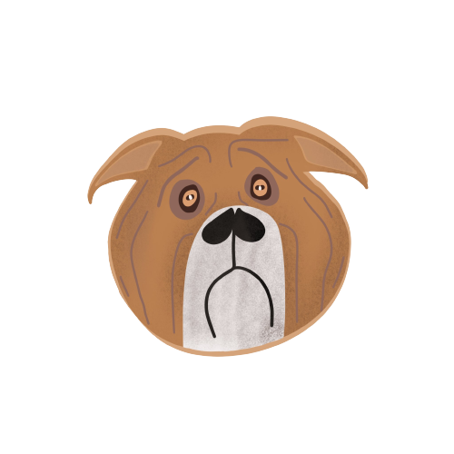sebzersauvage's tweet photo. @kudostokira BLUE DOG https://t.co/tLNgzW7SKt