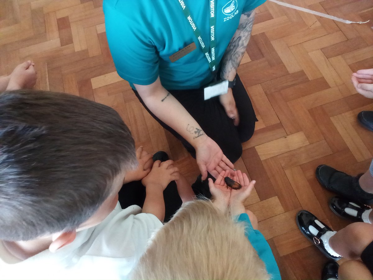 EPA_Year1's tweet photo. Today we have been exploring the animals brought in by @ZooLabUK  We were able to hold, touch and ask lots of questions about the animals. https://t.co/d4ZgR8Y6Jo