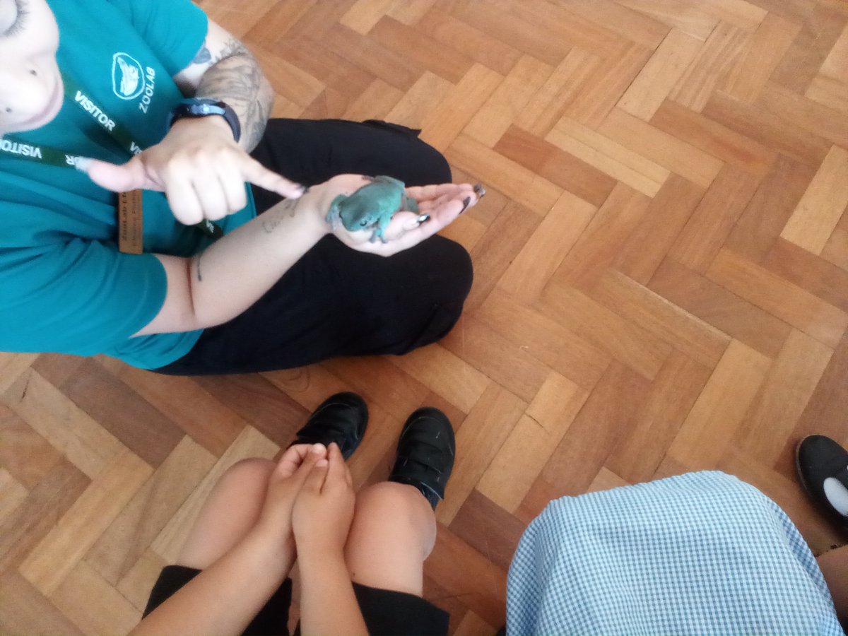 EPA_Year1's tweet photo. Today we have been exploring the animals brought in by @ZooLabUK  We were able to hold, touch and ask lots of questions about the animals. https://t.co/d4ZgR8Y6Jo