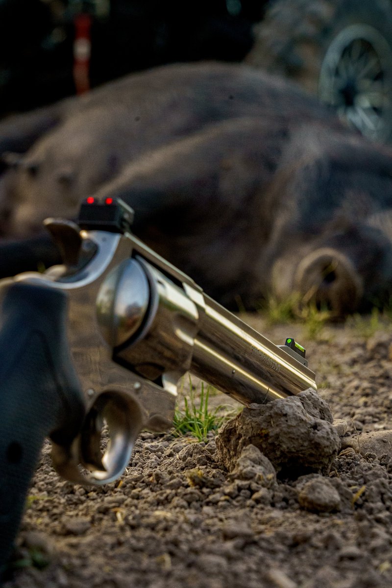 WTD_tv's tweet photo. Another one bites the dust thanks to our @smith_wessoninc &amp; @HIVIZsights setup.

#smithandwessoninc #hivizsights #handgunhunting #hoghunting #hunting https://t.co/nt2cSqMFA9