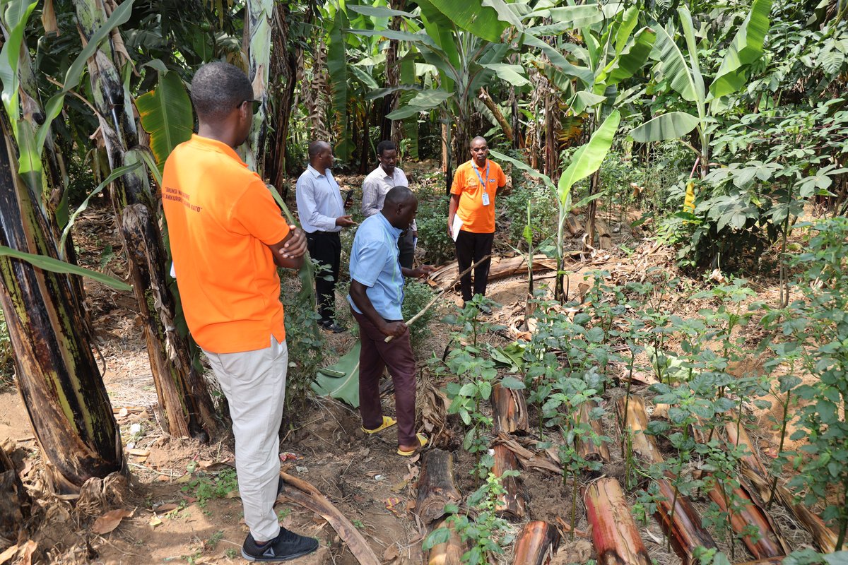 CaritasRwanda's tweet photo. On June 12, @CaritasRwanda, @PlanRwanda and @GatsiboDistrict conducted a joint field visit in @SectorKabarore and @rwimbogo_secto ECDs supported by #ECD_Project, in order to collect the feedback from the beneficiaries & caregivers; and inform the project implementation. https://t.co/2TaQSkzsaK