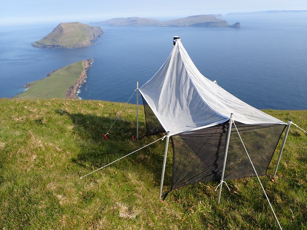 Agnes Kreiling tweet media