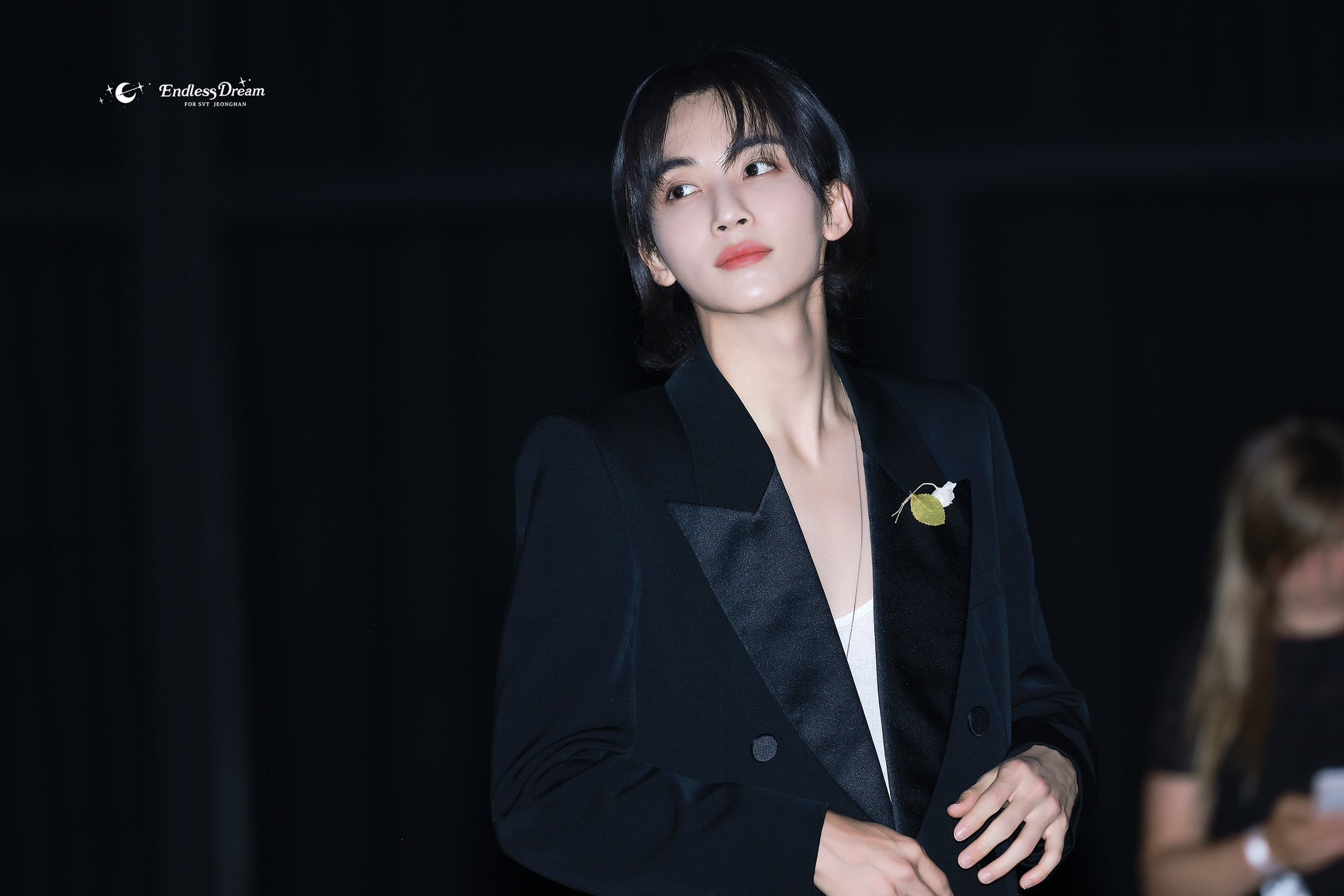 SEVENTEEN JEONGHAN ジョンハン　トラム seventeenセブンティーン セブチ ジョンハン トラム ぬいぐるみ