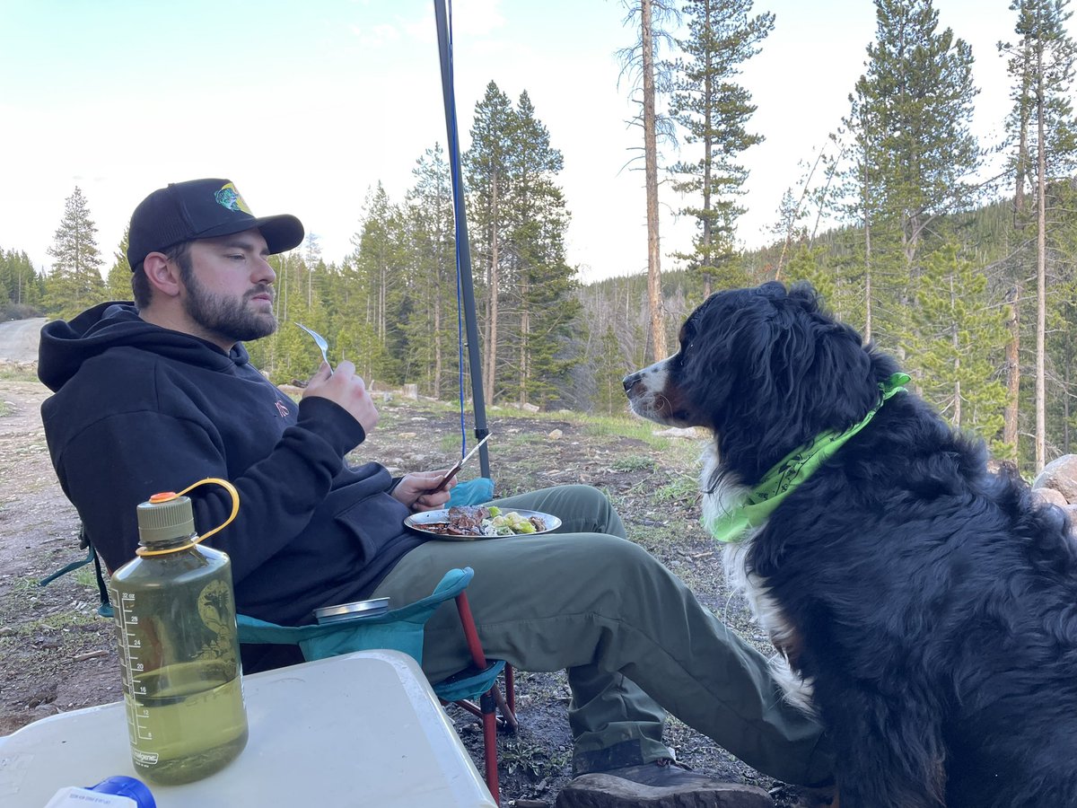 Sampled my first steak as well #thanksdad 

#bernesemountaindog