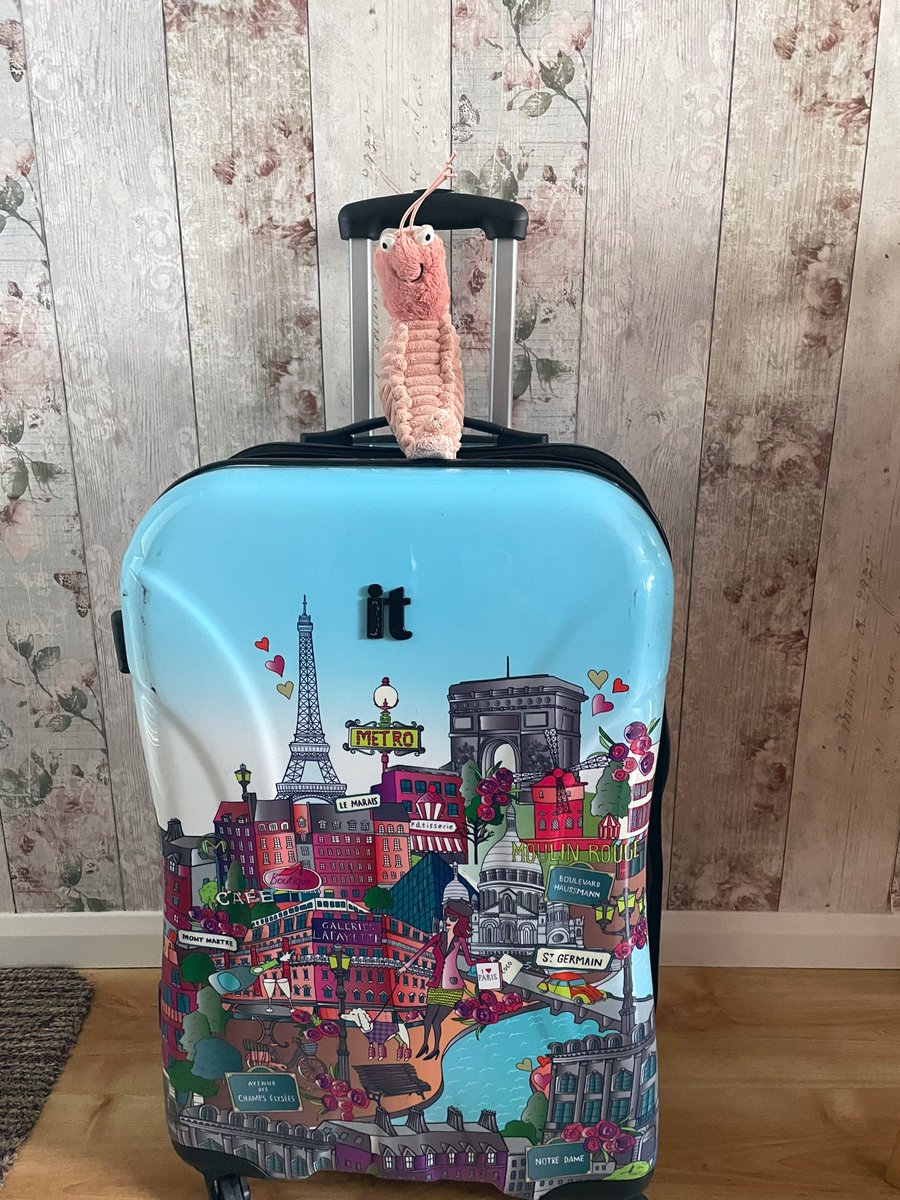 Miss Davey (@missdaveymfl) on Twitter photo <a href="/SenorGambas/">Señor Gambas</a> is ready for his 2:30am wake up call for his Paris adventure with 80 students 🇫🇷 <a href="/SenorGambas/">Señor Gambas</a> is ready for his 2:30am wake up call for his Paris adventure with 80 students 🇫🇷