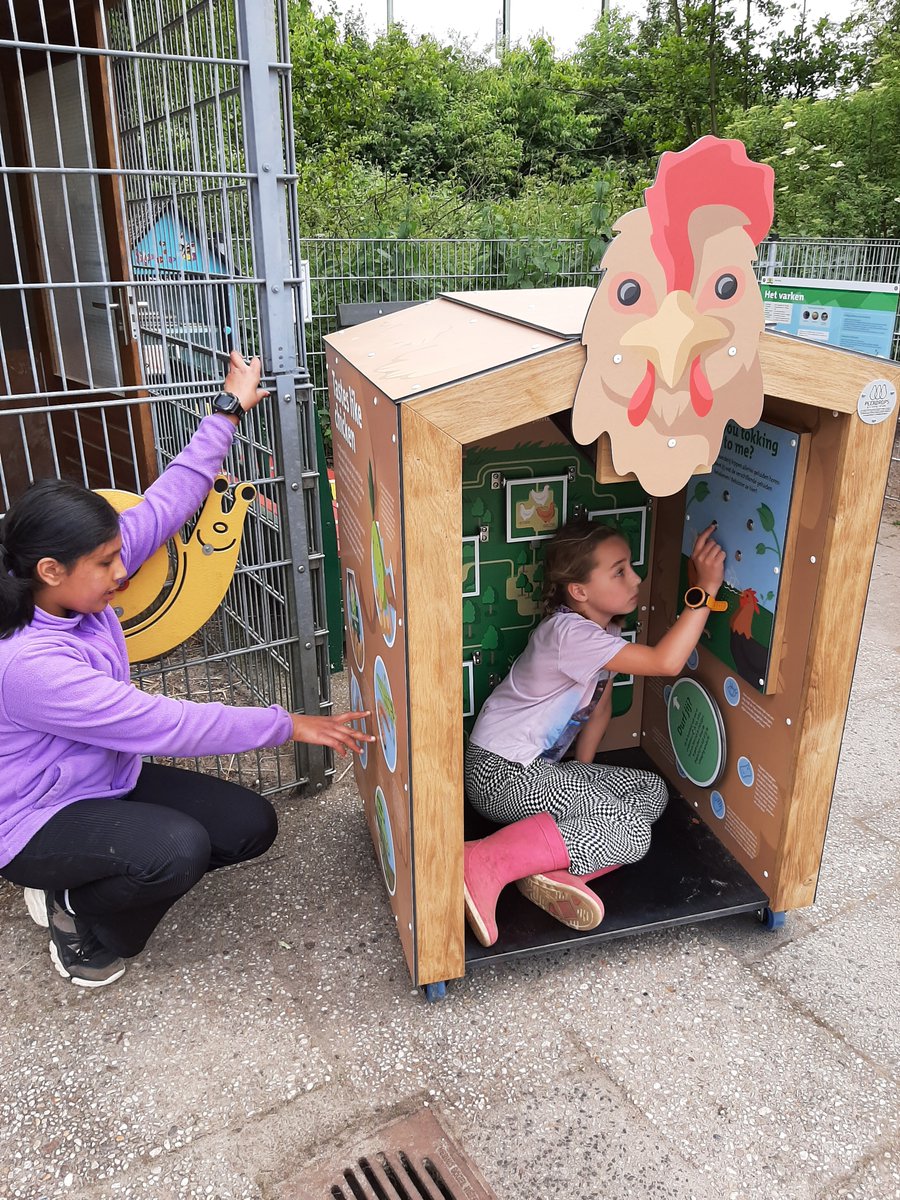 Op stadsboerderij De Reigershof vind je onze interactieve kip waar je op een speelse manier alles over de kip kunt leren. Welk feitje wist jij nog niet van de kip? 🐓🐓@staboDH
#milieueducatiedenhaag #nme #naarbuiten #natuureducatie