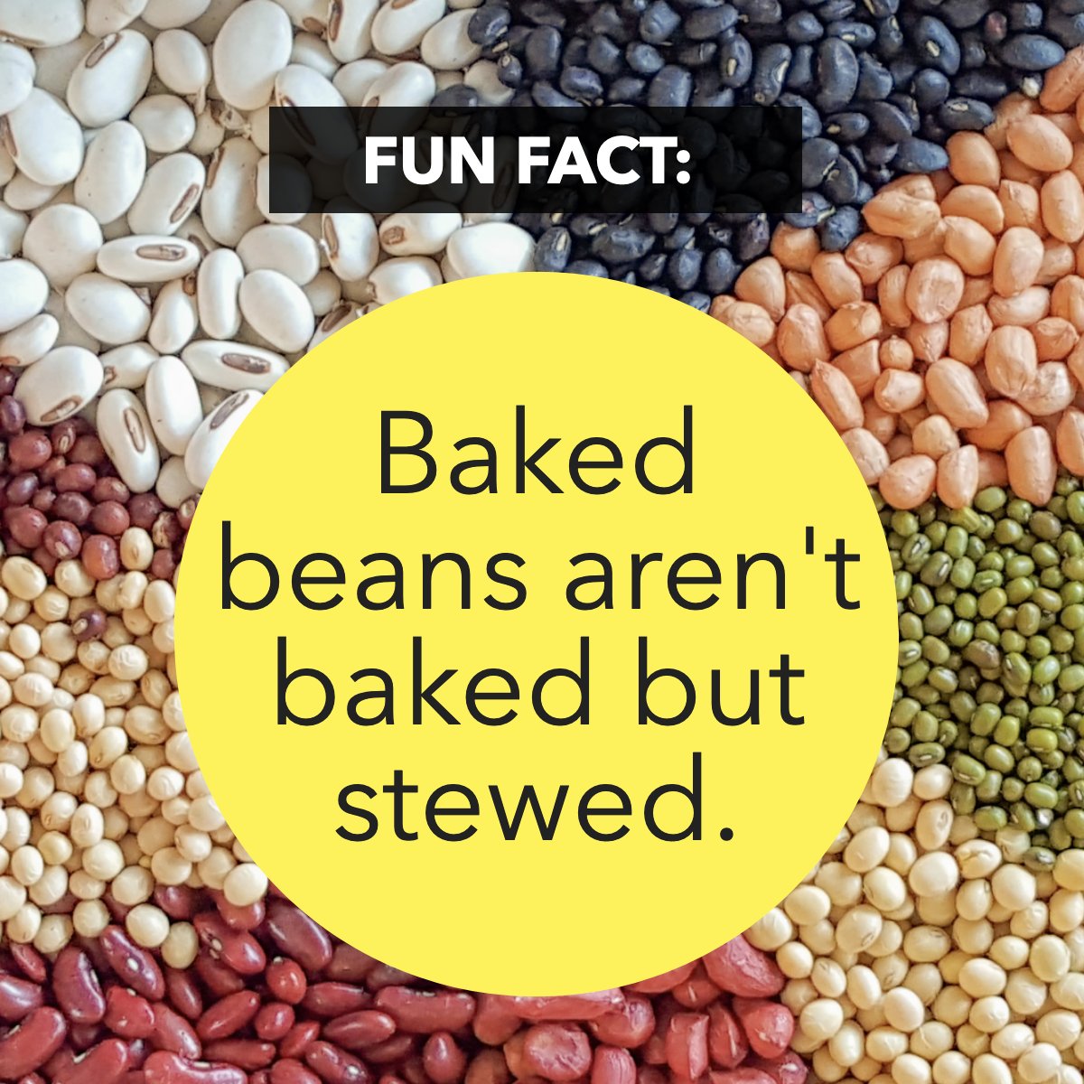 I was today's year old when I learned this. 😅

Did you know this? 🫘

#fun    #fact    #beans    #bakedbeans
#YourPerfectHome #CRayBrower #SanJoaquinCounty #StocktonCA #RealEstate