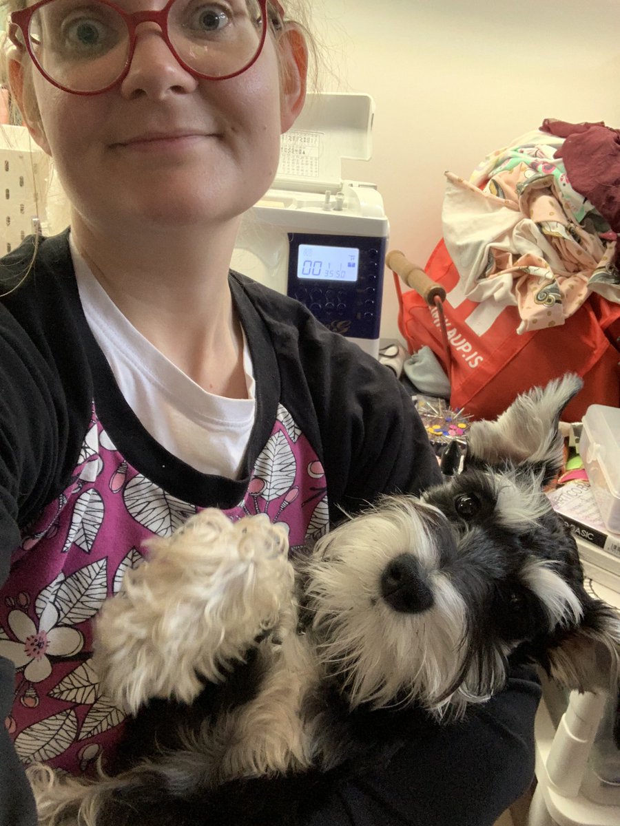 Sumir eru ósáttir við að fá ekki nóg af klappi af því að ég er að sauma 🤣🐕‍🦺